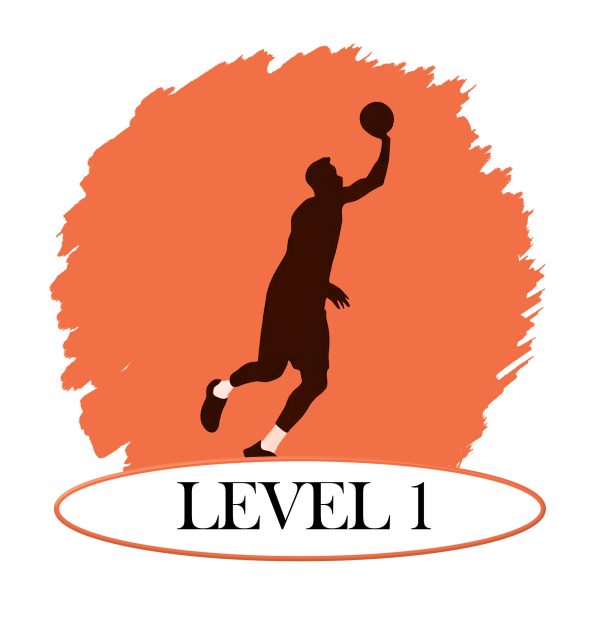 Level 1 - Youth Basketball Training Camps
